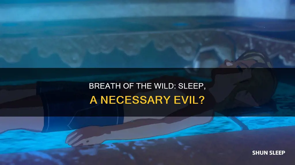 do you need to sleep in breath of the wild