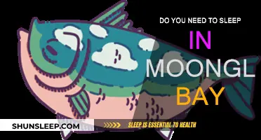 Moonglow Bay: Sleep and its Effects Explained