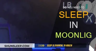 Moonlighter: Sleep, a Luxury or a Necessity?
