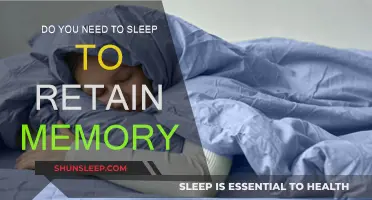 Sleep's Role in Memory Retention: A Complex Relationship