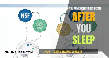 How Sleep Enhances Your Memory