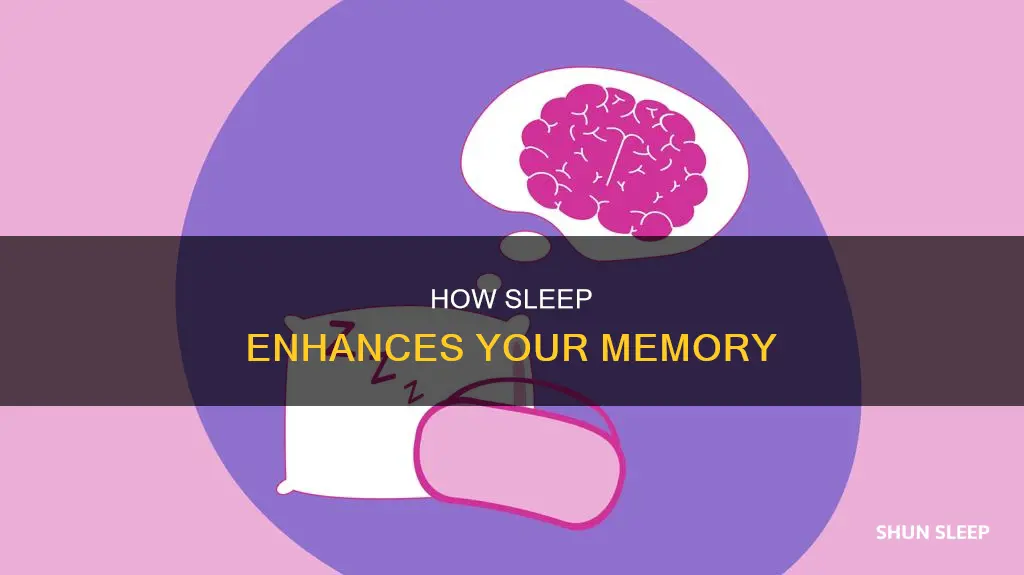 do you remember things better after you sleep