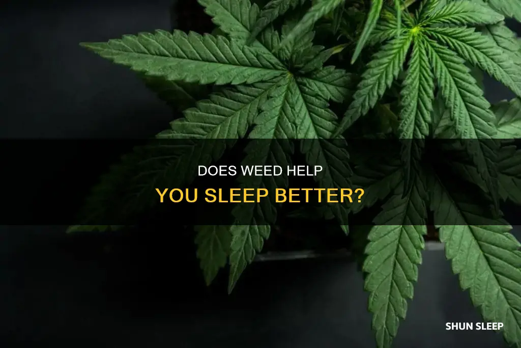 do you sleep better better when your high