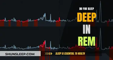 REM Sleep: Deep Sleep's Role in Brain Function