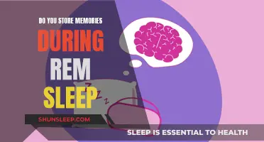 Unlocking REM Sleep: The Memory Storage Mystery