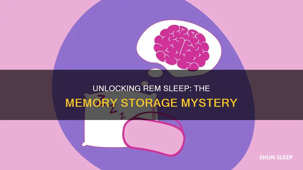 do you store memories during rem sleep