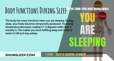 How Your Body Works While You Sleep