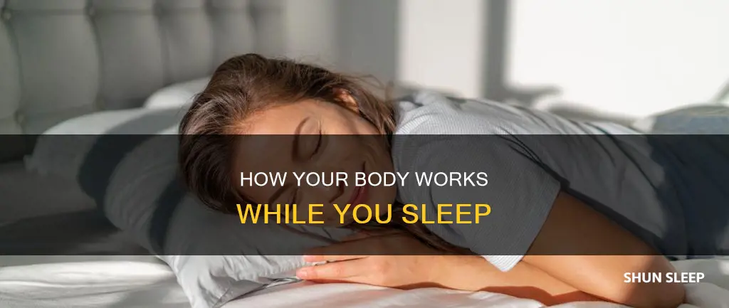 do you think your body works while you are sleeping