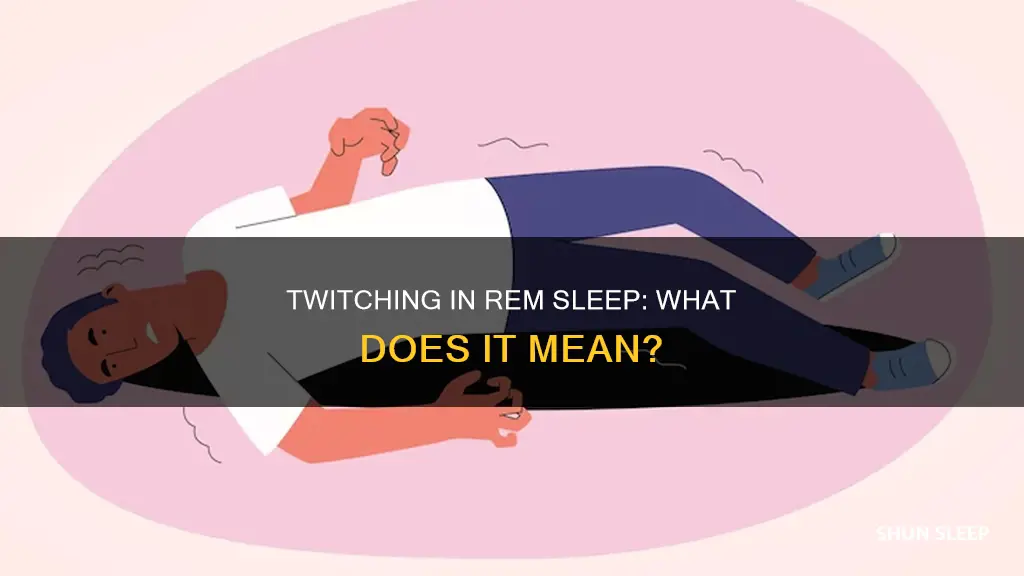 do you twitch during rem sleep