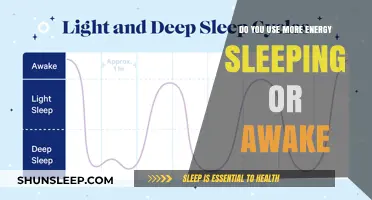Energy Usage: Sleep vs Wakefulness