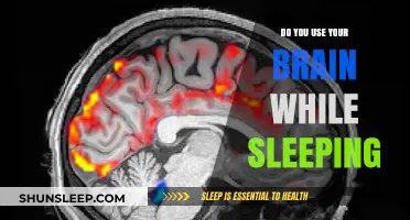 Brain Activity While Sleeping: What's Happening?
