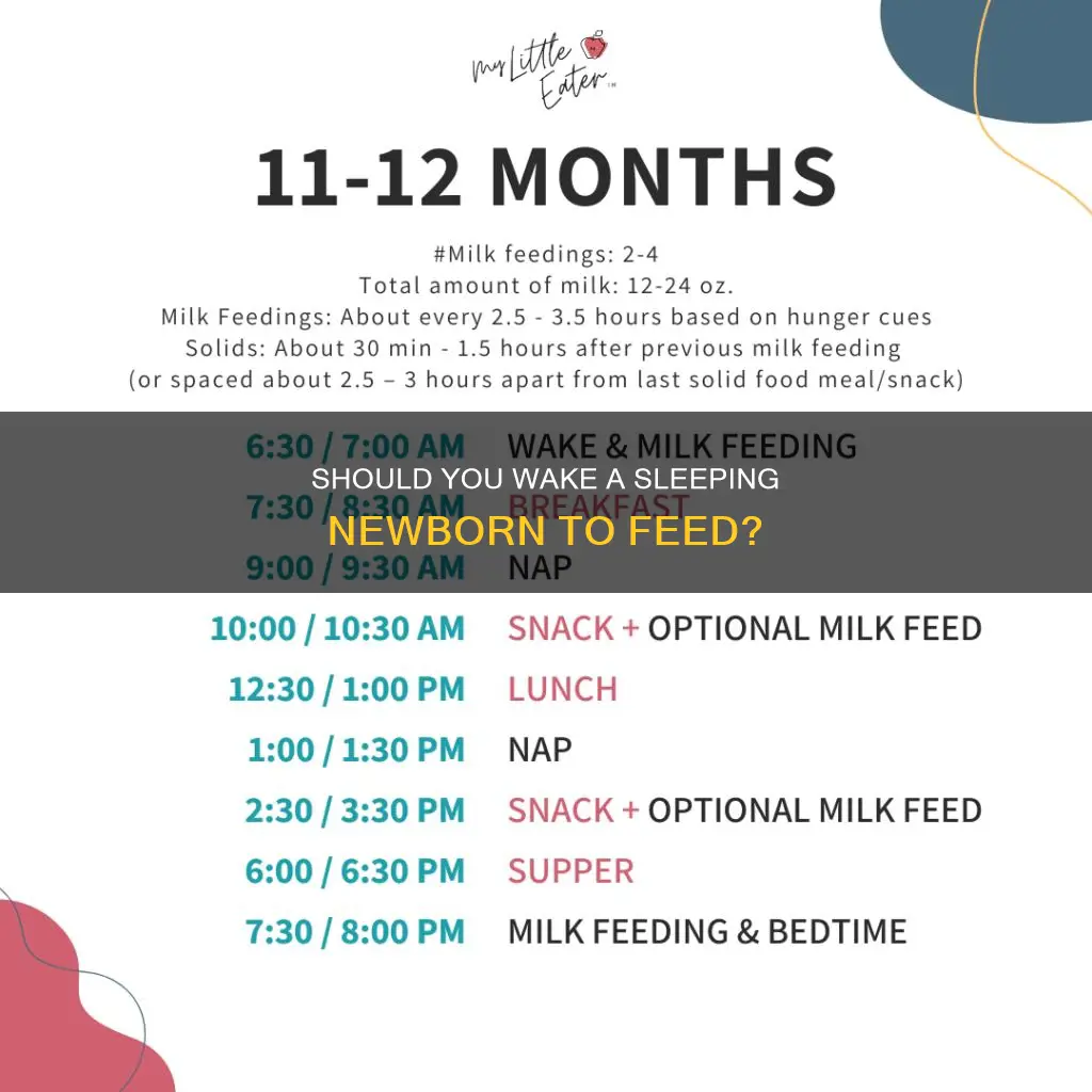 do you wake a sleeping newborn to eat