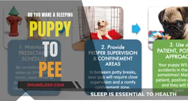Should You Wake a Sleeping Puppy to Pee?
