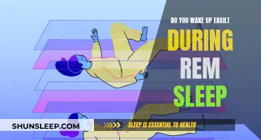 REM Sleep: Easily Awakened or Deep Slumber?