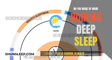 Deep Sleep: Why Do We Wake Up?