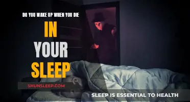 The Mystery of Dying in Sleep: Do We Wake Up?
