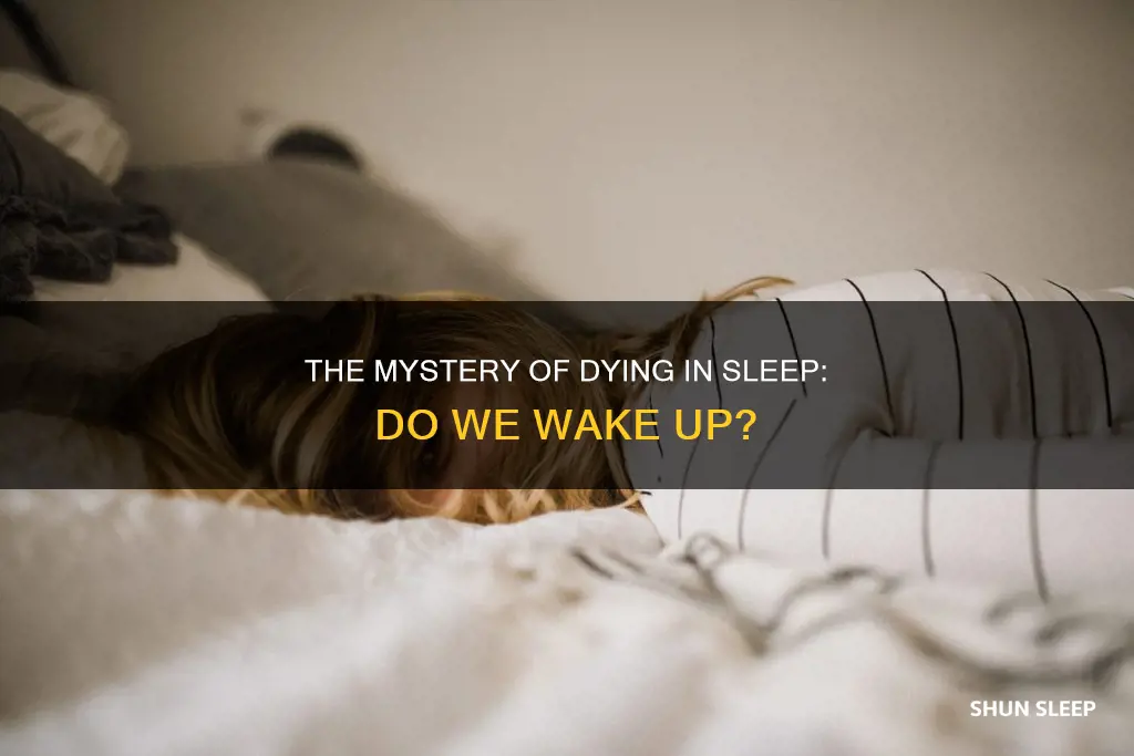 do you wake up when you die in your sleep
