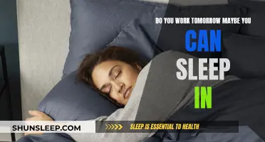 Sleep In: Tomorrow's Work-Free Relaxation Day