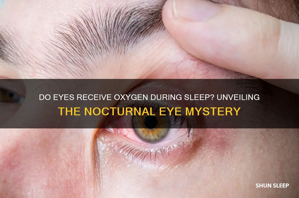 do your eyes get oxygen when you sleep