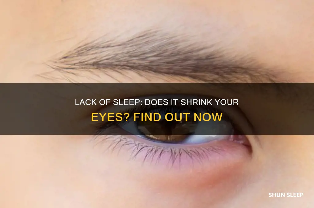 do your eyes get smaller if you don