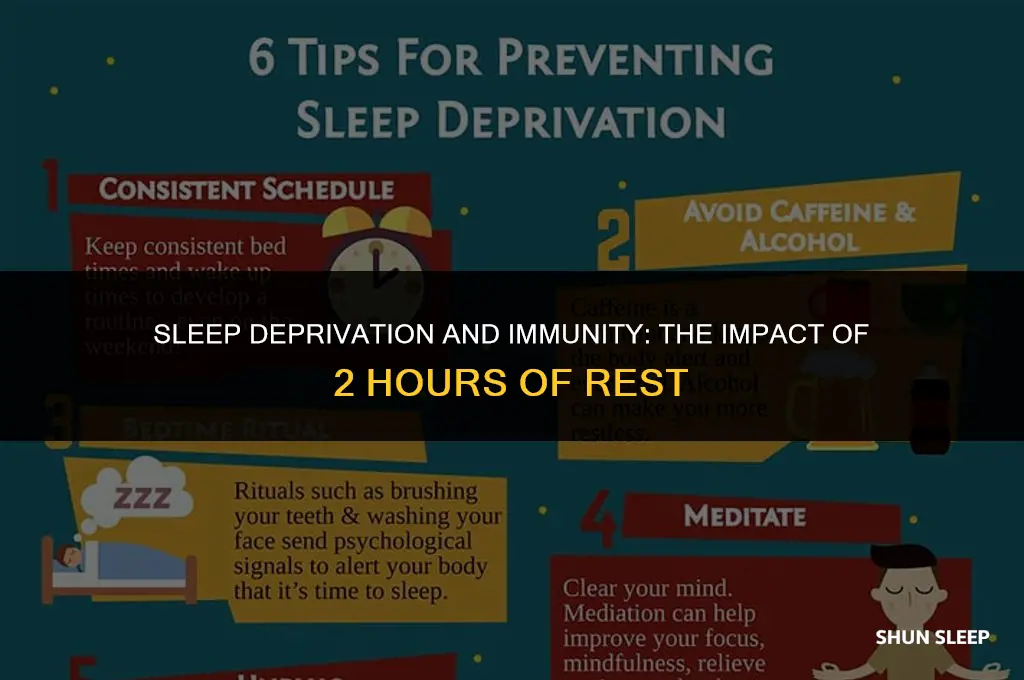 does 2 hours of sleep lower your immune system