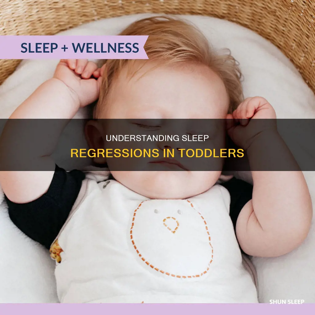 does a 2 year old sleep regress