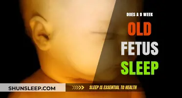 Fetal Sleep: What Happens at 9 Weeks?