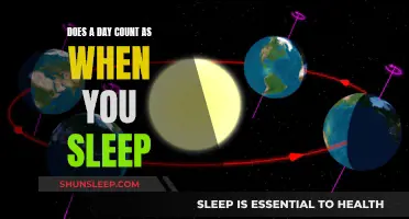 Sleep Schedules: Defining Your Daily Routine and Rhythm