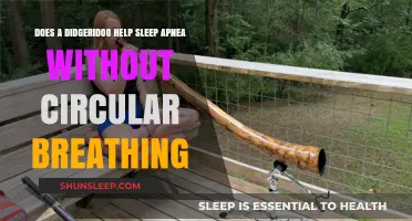 Didgeridoo Therapy for Sleep Apnea: Effective Without Circular Breathing?
