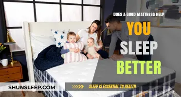 Can a Quality Mattress Significantly Improve Your Sleep Quality?