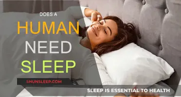 Sleep: Essential for Human Functioning or Waste of Time?