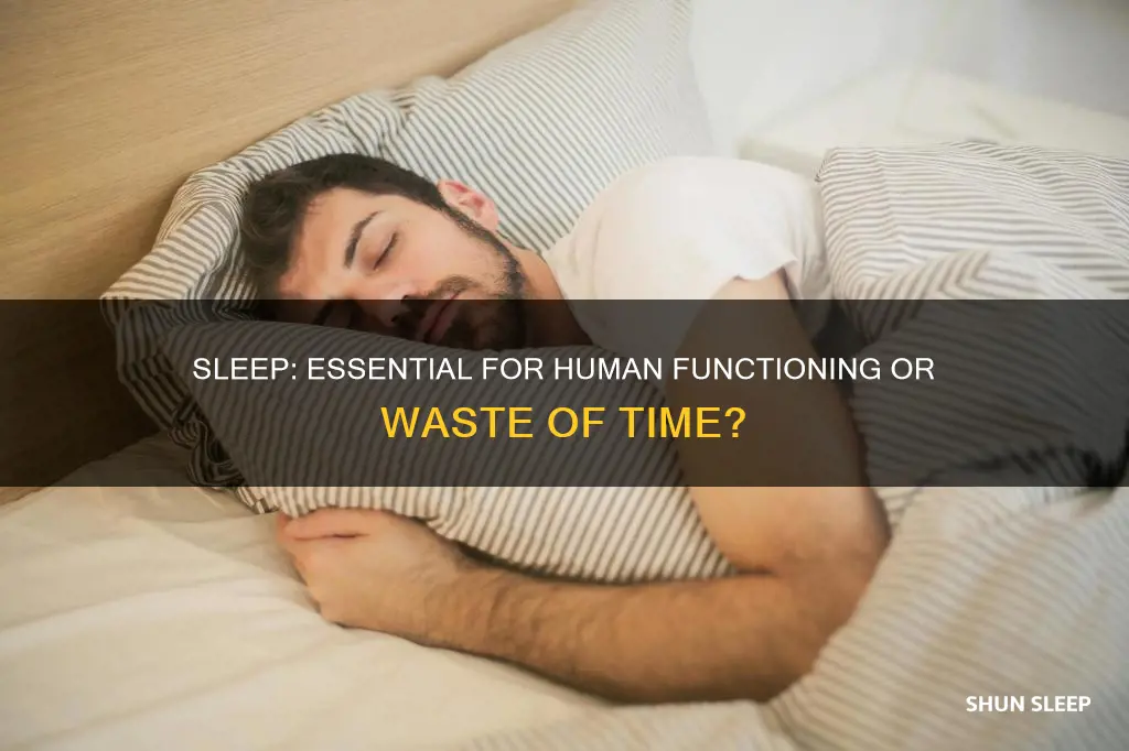 does a human need sleep