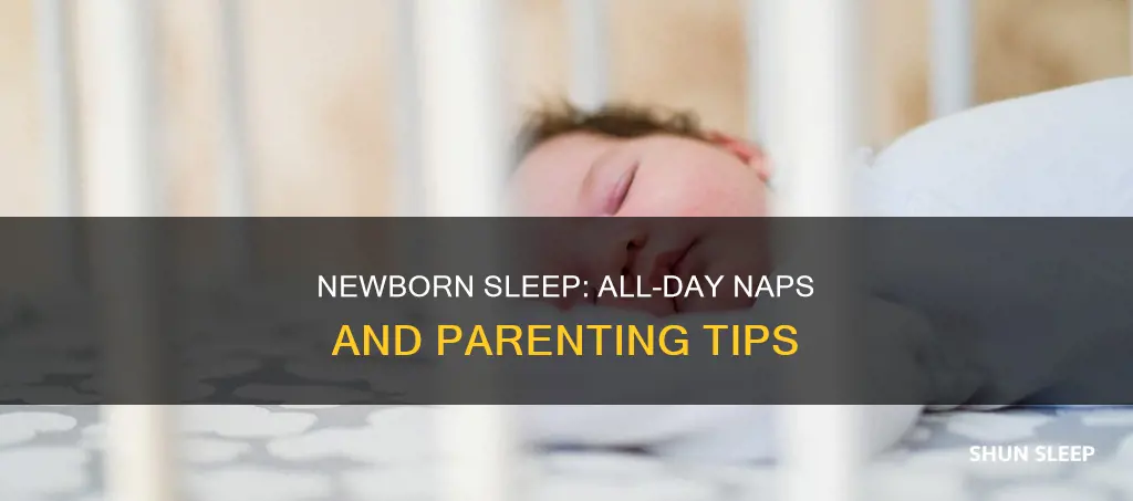 does a newborn sleep all day