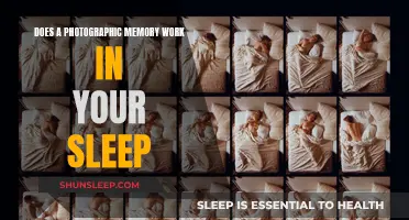 Photographic Memory: Sleep's Impact on Recall