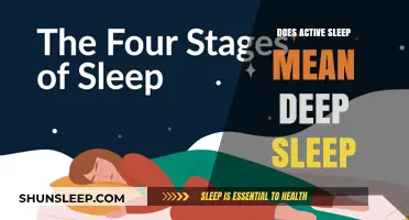 Active Sleep: Is It Deep Sleep?