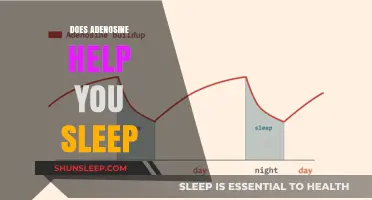 Adenosine's Role in Sleep: Unlocking Better Rest and Recovery