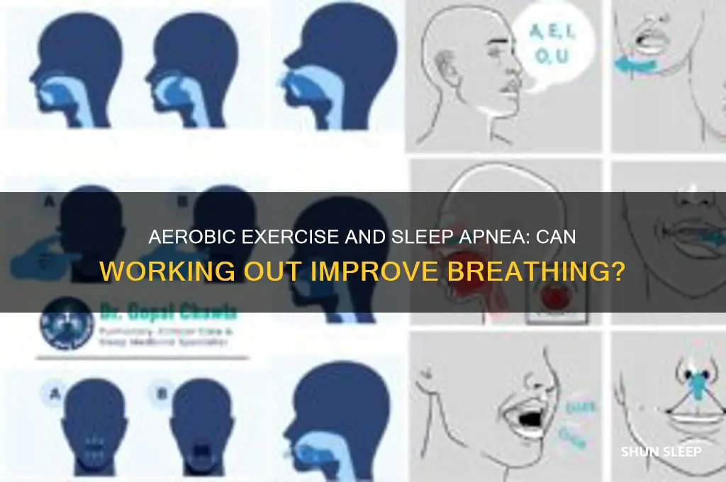 does aerobic exercise help sleep apnea