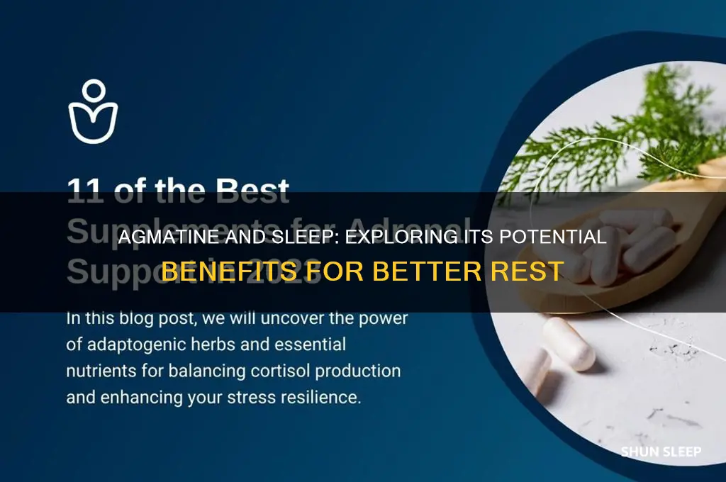 does agmatine help with sleep