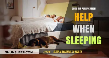 Does Air Purification Improve Sleep Quality? Exploring the Benefits and Science