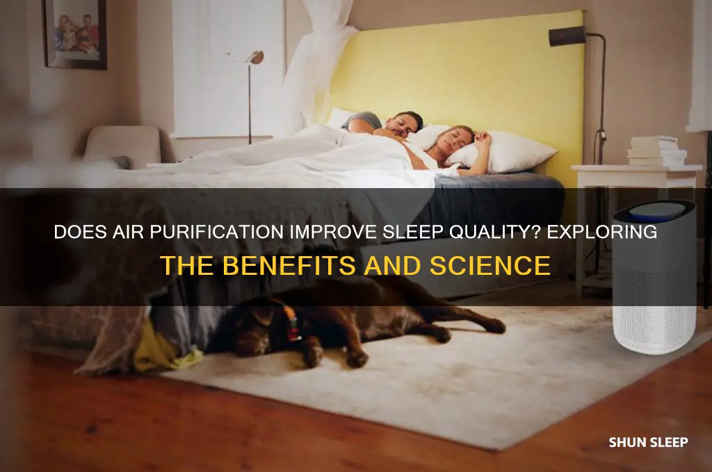does air purification help when sleeping