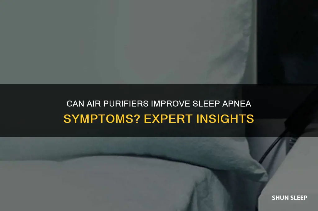 does air purifier help with sleep apnea