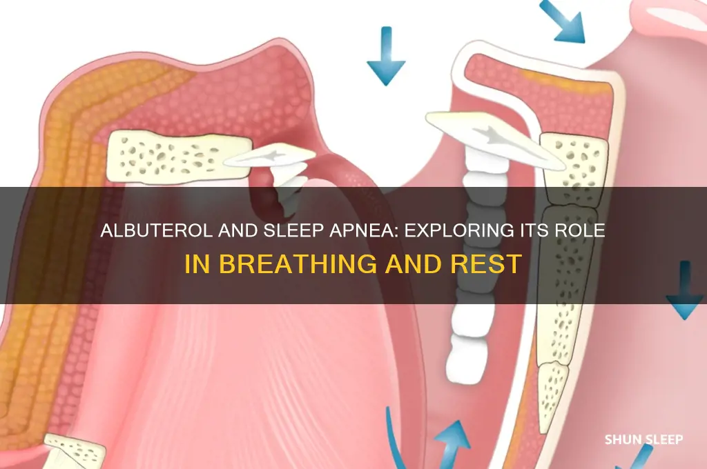 does albuterol help sleep apnea