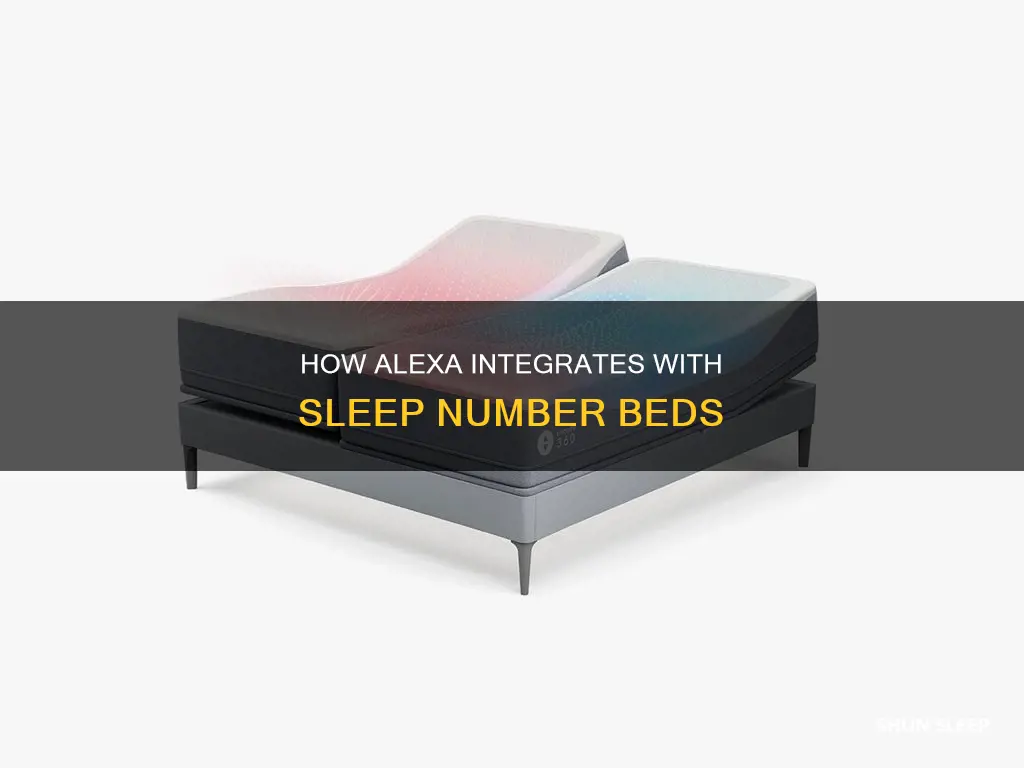 does alexa work with sleep number
