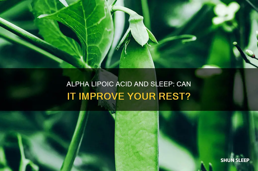 does alpha lipoic acid help one to sleep