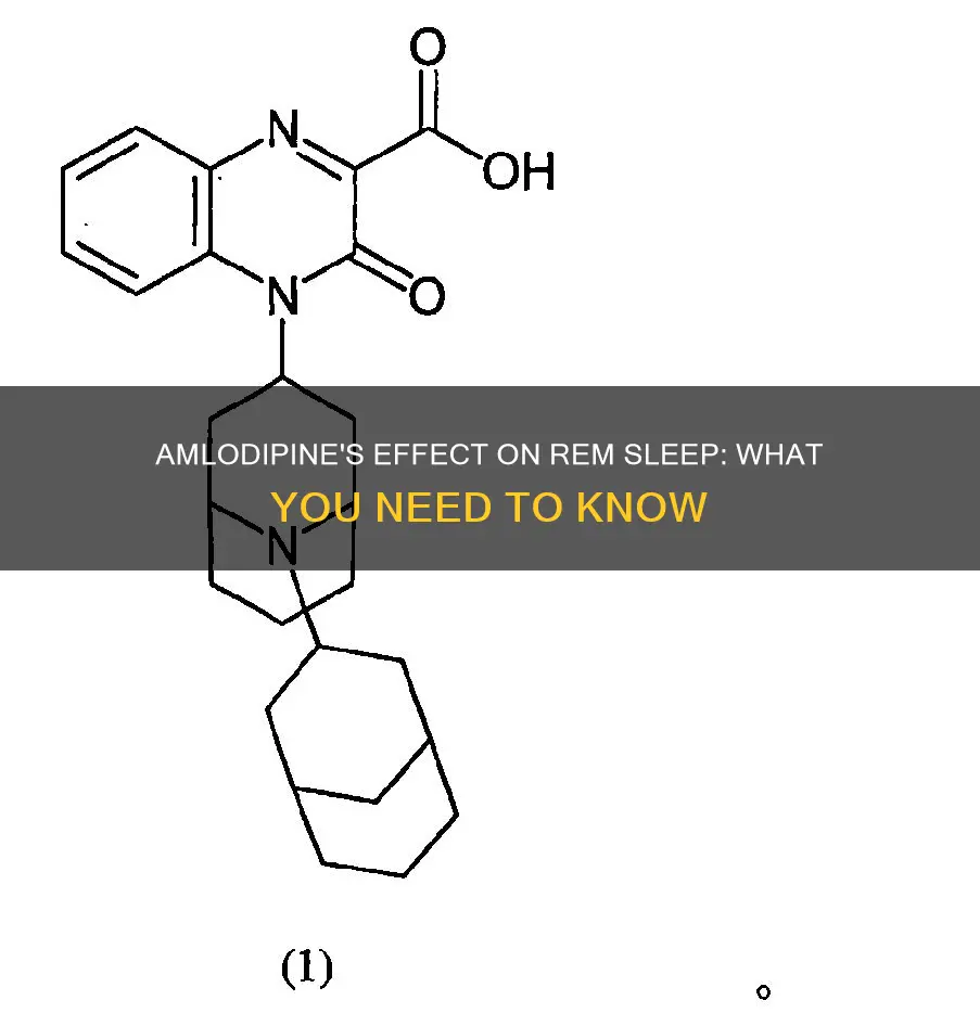 does amlodipine decrease rem sleep