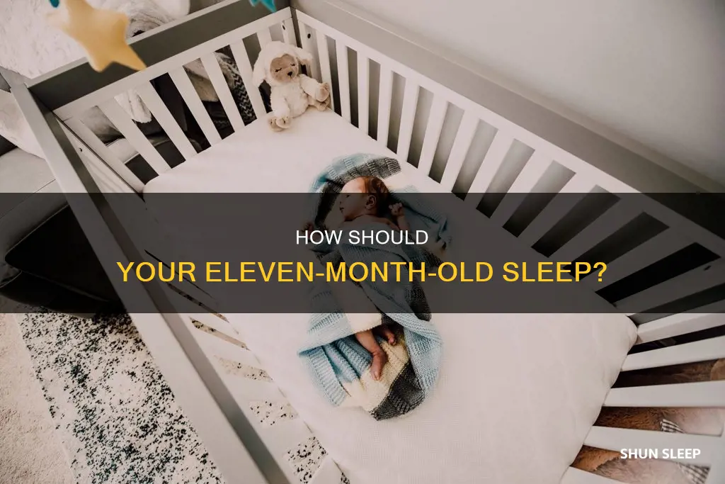 does an eleven month old sleep in a crib
