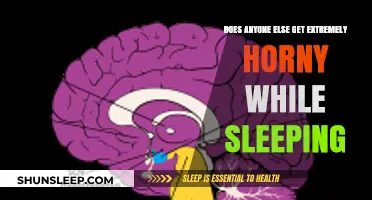 Sleep-Induced Arousal: Exploring Nocturnal Horniness and Its Surprising Causes
