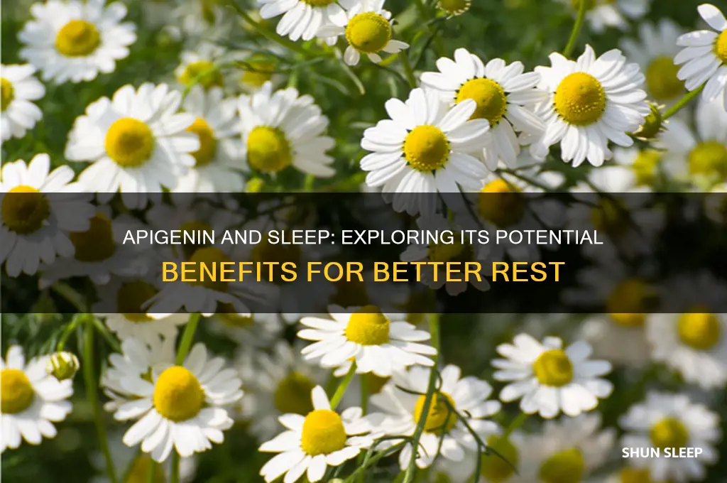 does apigenin help with sleep