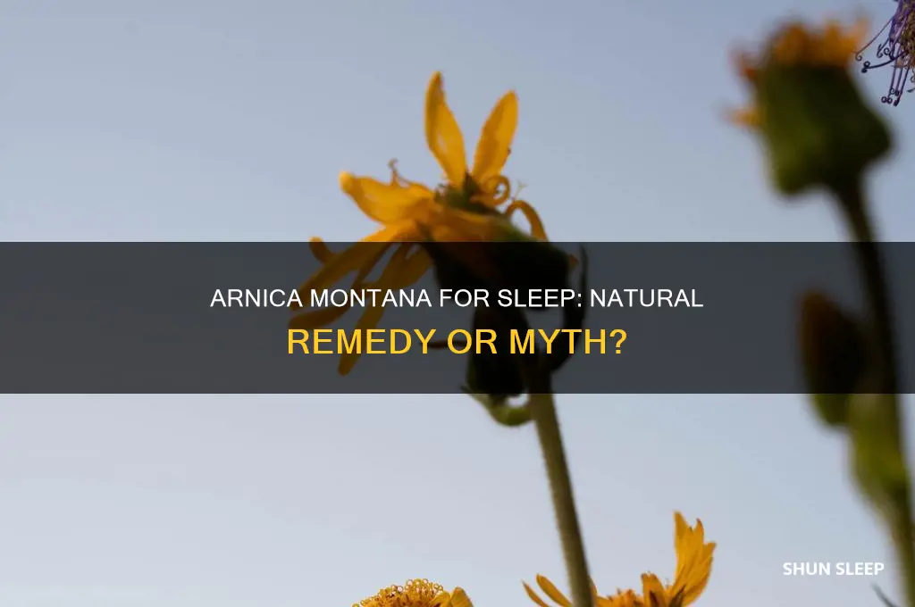 does arnica montana help you sleep