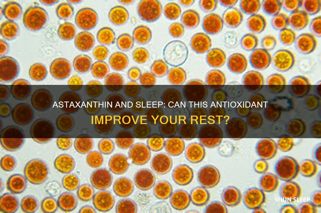 does astaxanthin help you sleep